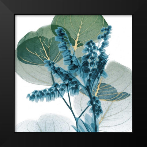 Golden Lilly Of Eucalyptus 2 Black Modern Wood Framed Art Print by Koetsier, Albert