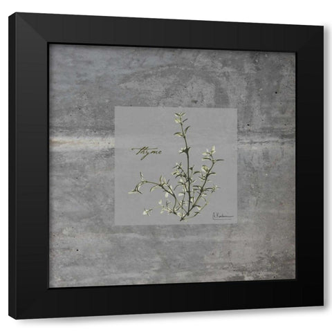 Concrete Thyme Black Modern Wood Framed Art Print with Double Matting by Koetsier, Albert