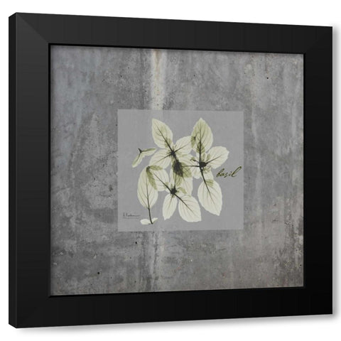 Concrete Basil Black Modern Wood Framed Art Print with Double Matting by Koetsier, Albert