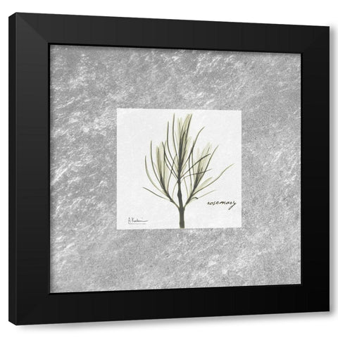 Stunning Rosemary Black Modern Wood Framed Art Print with Double Matting by Koetsier, Albert