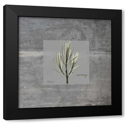 Concrete Rosemary Black Modern Wood Framed Art Print by Koetsier, Albert