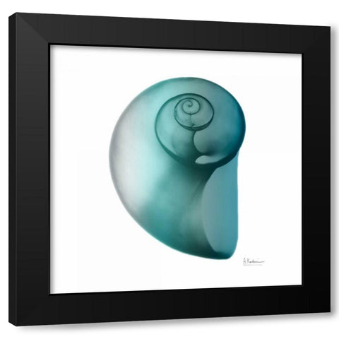 Teal Water Snail 2 Black Modern Wood Framed Art Print with Double Matting by Koetsier, Albert