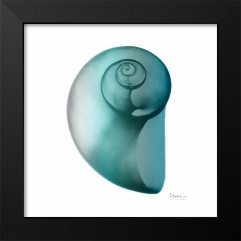 Teal Water Snail 2 Black Modern Wood Framed Art Print by Koetsier, Albert