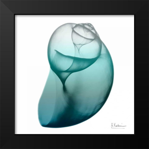 Water Snail 3 Black Modern Wood Framed Art Print by Koetsier, Albert