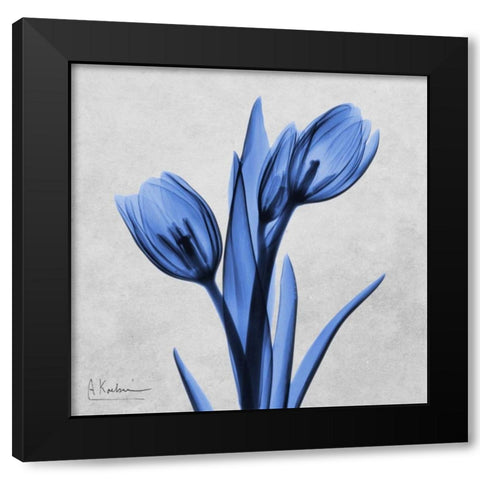 Midnight Tulips Black Modern Wood Framed Art Print with Double Matting by Koetsier, Albert