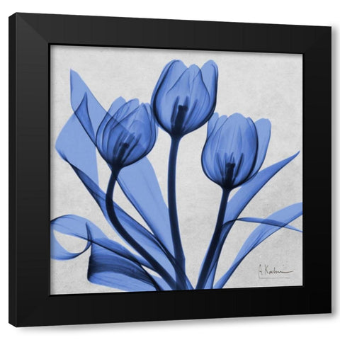 Midnight tulips 2 Black Modern Wood Framed Art Print with Double Matting by Koetsier, Albert