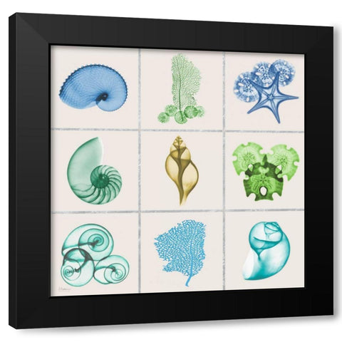 Sealife 9 Patch Black Modern Wood Framed Art Print with Double Matting by Koetsier, Albert