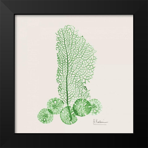 Emerald Sea Fan and Sand Dollar Black Modern Wood Framed Art Print by Koetsier, Albert