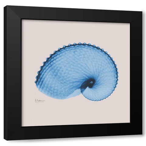 Ultramarine Argonaut Black Modern Wood Framed Art Print with Double Matting by Koetsier, Albert