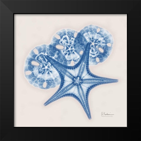 Cerulean Starfish and Sand Dollar Black Modern Wood Framed Art Print by Koetsier, Albert