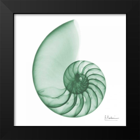 Jade Water Snail 2 Black Modern Wood Framed Art Print by Koetsier, Albert