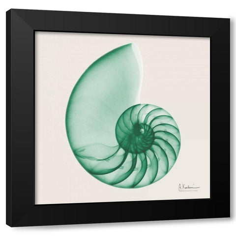 Jade Water Snail Black Modern Wood Framed Art Print with Double Matting by Koetsier, Albert