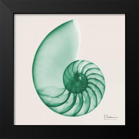 Jade Water Snail Black Modern Wood Framed Art Print by Koetsier, Albert