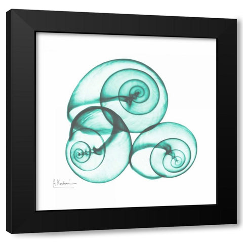 Shamrock Sky Snails 2 Black Modern Wood Framed Art Print with Double Matting by Koetsier, Albert