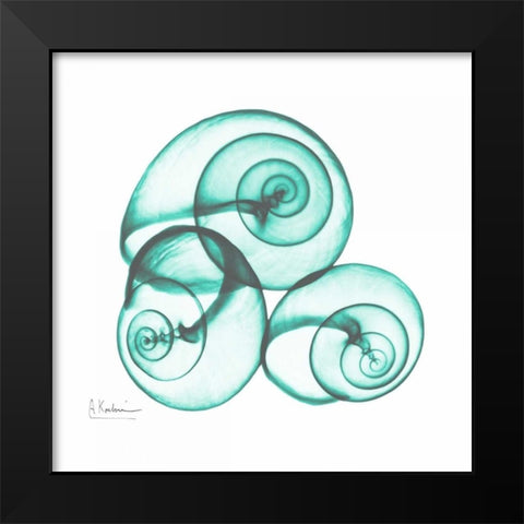 Shamrock Sky Snails 2 Black Modern Wood Framed Art Print by Koetsier, Albert