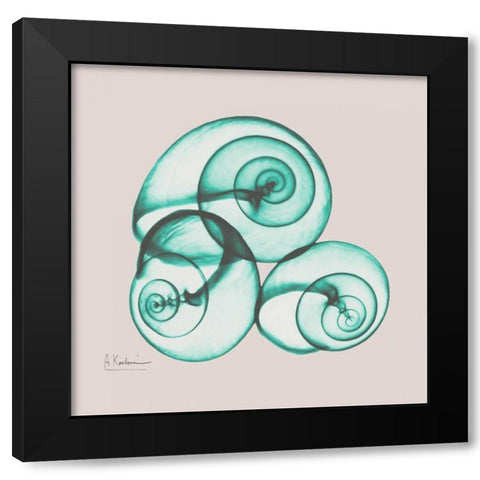 Shamrock Sky Snails Black Modern Wood Framed Art Print with Double Matting by Koetsier, Albert