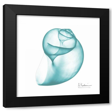 Viridian Water Snail 2 Black Modern Wood Framed Art Print with Double Matting by Koetsier, Albert