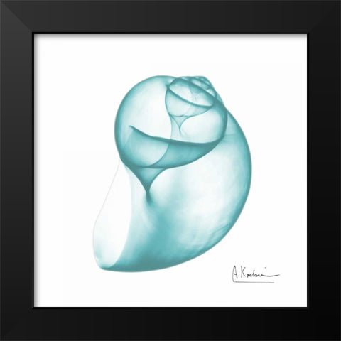 Viridian Water Snail 2 Black Modern Wood Framed Art Print by Koetsier, Albert