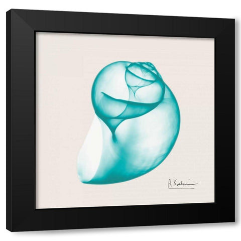 Viridian Water Snail Black Modern Wood Framed Art Print with Double Matting by Koetsier, Albert