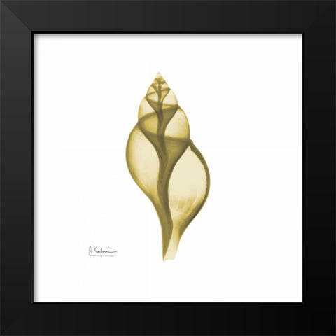 Genie Tulip Shell 2 Black Modern Wood Framed Art Print by Koetsier, Albert
