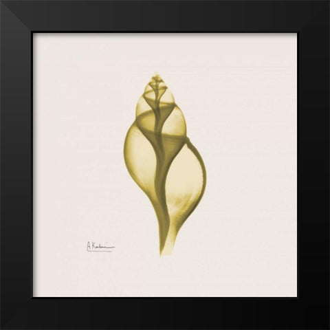 Genie Tulip Shell Black Modern Wood Framed Art Print by Koetsier, Albert