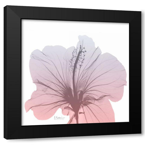 Serene Sunset 1 Black Modern Wood Framed Art Print with Double Matting by Koetsier, Albert