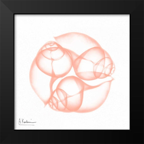 Dry Snail Peach Black Modern Wood Framed Art Print by Koetsier, Albert