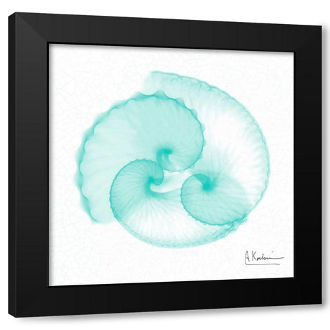 Dry Argonaut Seafoam Black Modern Wood Framed Art Print by Koetsier, Albert