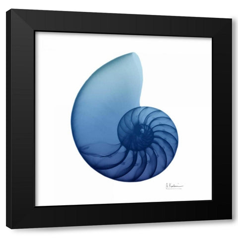 Scenic Water Snail 3 Black Modern Wood Framed Art Print with Double Matting by Koetsier, Albert