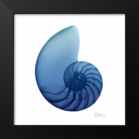 Scenic Water Snail 3 Black Modern Wood Framed Art Print by Koetsier, Albert