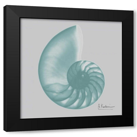 Aquifer Sea Shell Black Modern Wood Framed Art Print by Koetsier, Albert