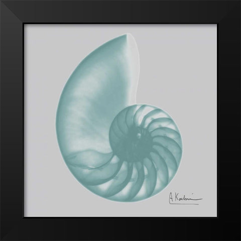 Aquifer Sea Shell Black Modern Wood Framed Art Print by Koetsier, Albert