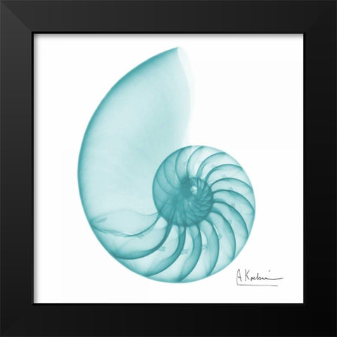 Turquoise Sea Shell Black Modern Wood Framed Art Print by Koetsier, Albert
