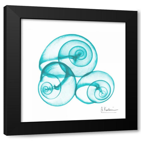 Turquoise Sky Snails Black Modern Wood Framed Art Print with Double Matting by Koetsier, Albert