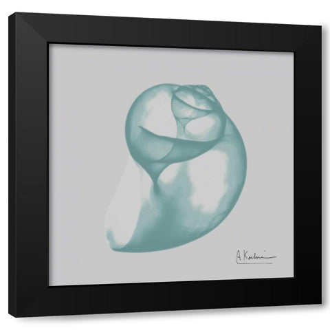 Aquifer Water Snail Black Modern Wood Framed Art Print with Double Matting by Koetsier, Albert