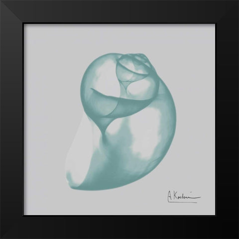 Aquifer Water Snail Black Modern Wood Framed Art Print by Koetsier, Albert