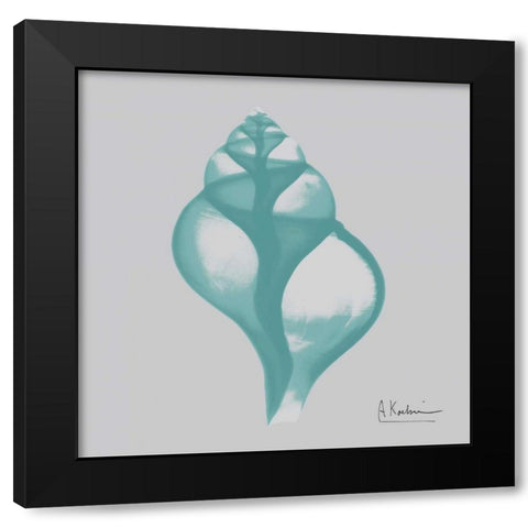 Aquifer Tulip Shell Black Modern Wood Framed Art Print by Koetsier, Albert