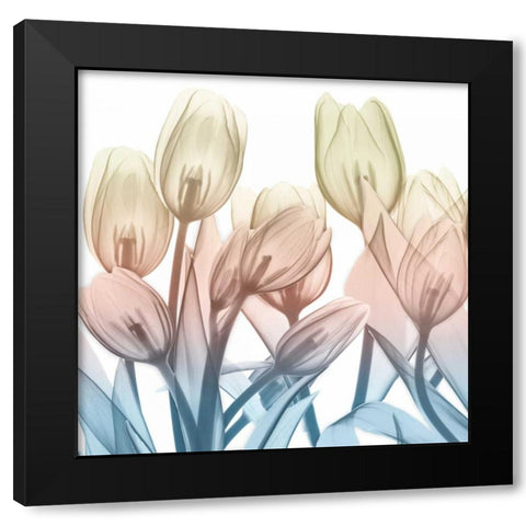 Magical Garden View Black Modern Wood Framed Art Print with Double Matting by Koetsier, Albert