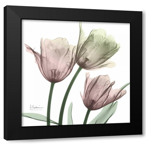 Natural Luster Tulips 1 Black Modern Wood Framed Art Print with Double Matting by Koetsier, Albert