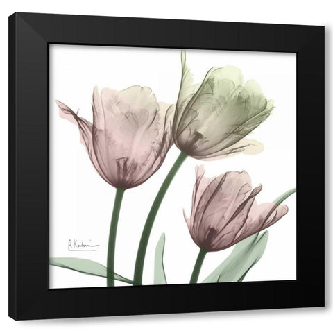 Natural Luster Tulips 1 Black Modern Wood Framed Art Print by Koetsier, Albert