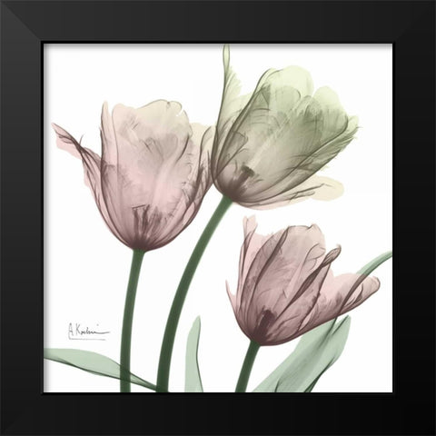 Natural Luster Tulips 1 Black Modern Wood Framed Art Print by Koetsier, Albert