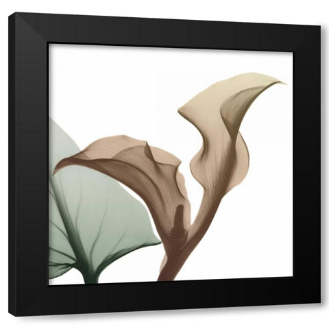 Autumn Callaqua Black Modern Wood Framed Art Print with Double Matting by Koetsier, Albert