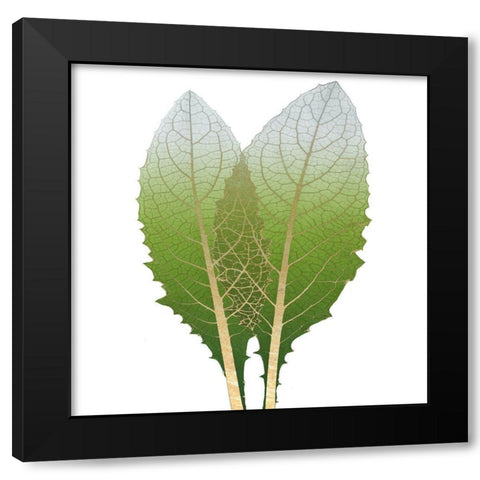 Golden Artichoke Black Modern Wood Framed Art Print with Double Matting by Koetsier, Albert