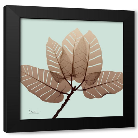 Chopped Ficus Burkey Black Modern Wood Framed Art Print by Koetsier, Albert