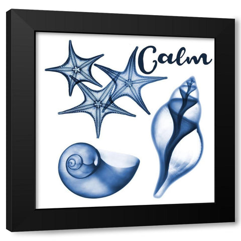 Calm Sealife Black Modern Wood Framed Art Print with Double Matting by Koetsier, Albert