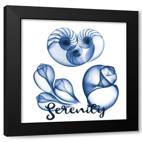 Coastal Serenity Black Modern Wood Framed Art Print with Double Matting by Koetsier, Albert