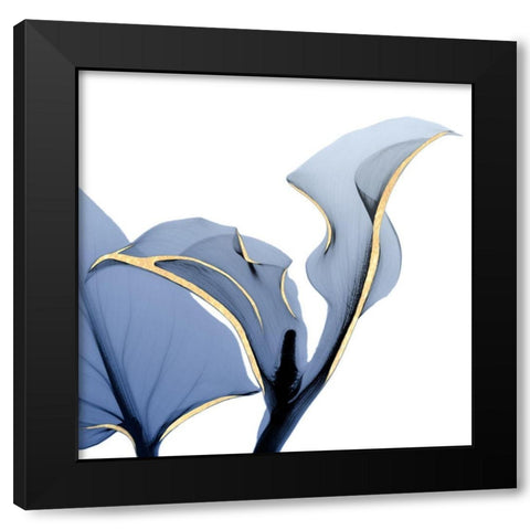 Moonlit Calla Lily Black Modern Wood Framed Art Print with Double Matting by Koetsier, Albert