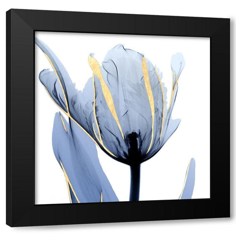 Moonlit Tulip Black Modern Wood Framed Art Print by Koetsier, Albert