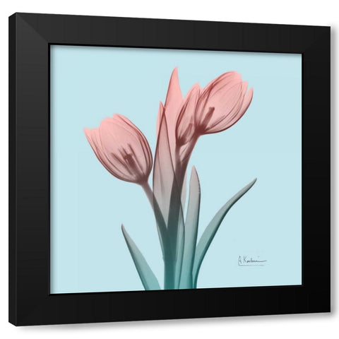 Awakening Tulips 1 Black Modern Wood Framed Art Print with Double Matting by Koetsier, Albert