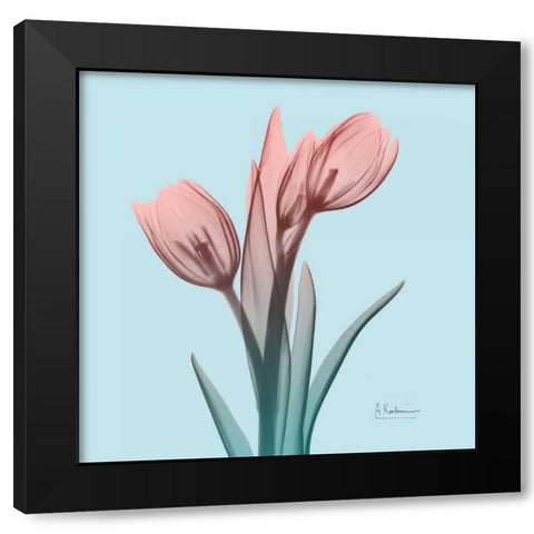 Awakening Tulips 1 Black Modern Wood Framed Art Print by Koetsier, Albert